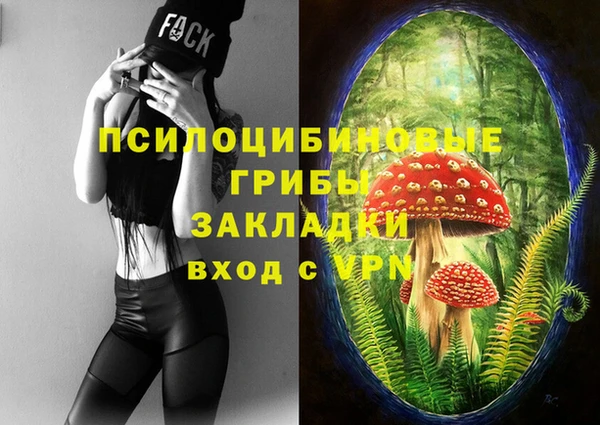 марки nbome Няндома