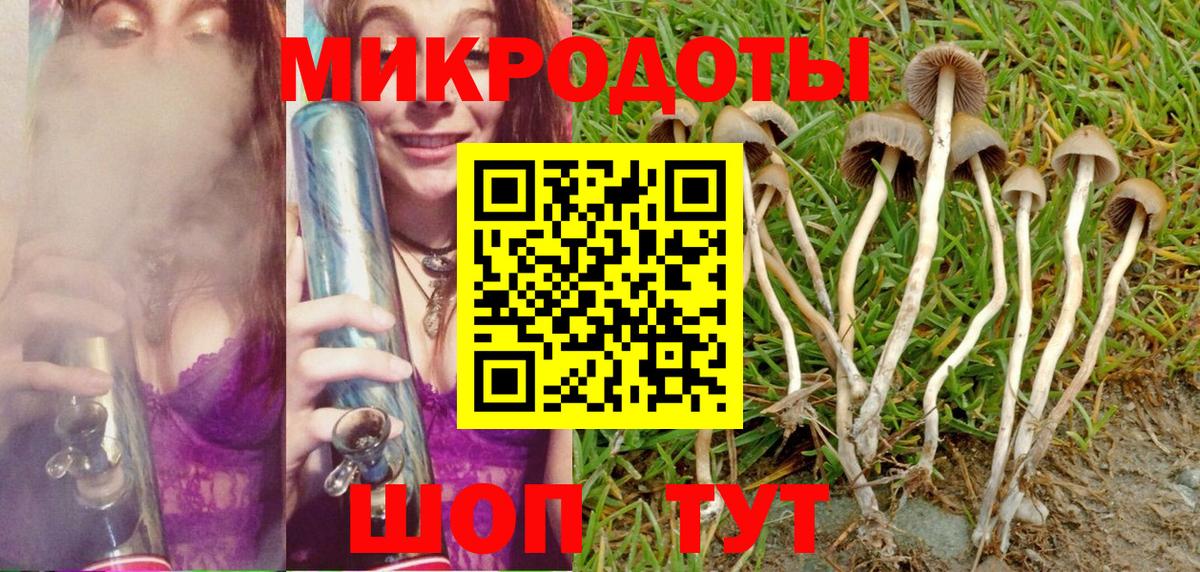 Галлюциногенные грибы MAGIC MUSHROOMS Красноперекопск
