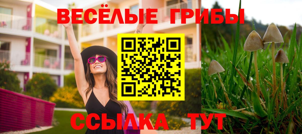 Красноперекопск  Галлюциногенные грибы MAGIC MUSHROOMS  Галлюциногенные грибы Psilocybe  Вход с VPN 